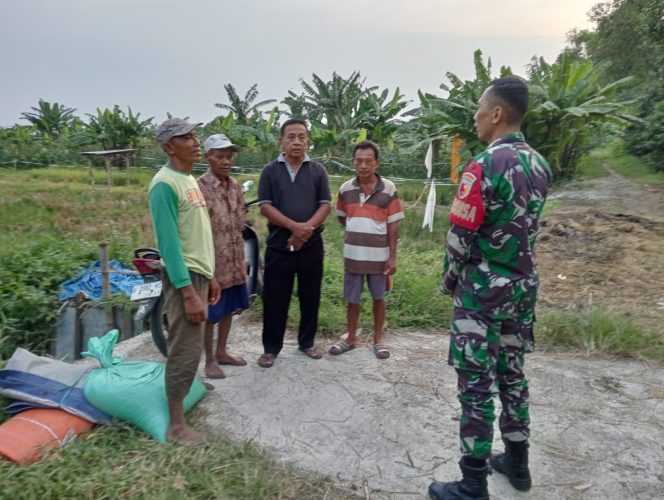 
					Babinsa Koramil 0817/01 Driyorejo Gresik Dampingi Penyerapan Gabah di Desa Banjaran