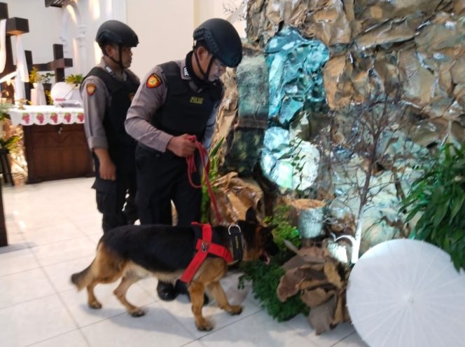
					Anjing Pelacak K-9 Polri Sisir Setiap Sudut Gereja, Pastikan Bebas Ancaman