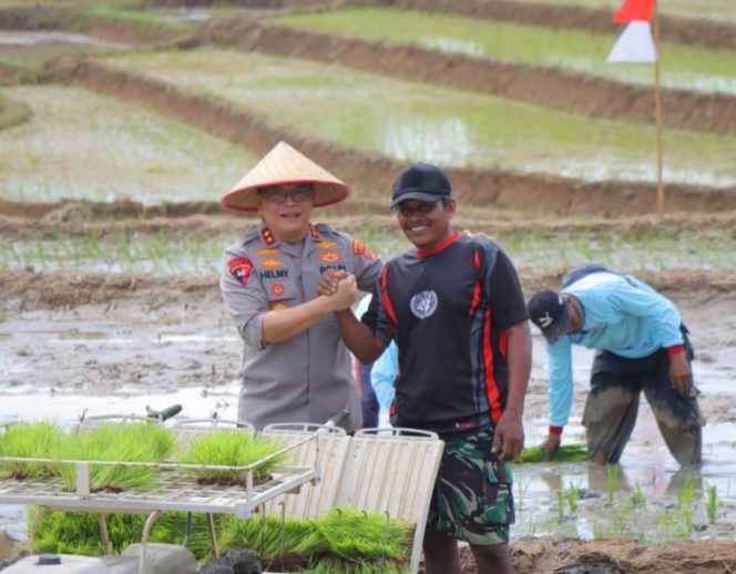 
					Kapolda Lampung Hadiri Gerak Tanam Raya Padi Serentak, Dukung Ketahanan Pangan Nasional