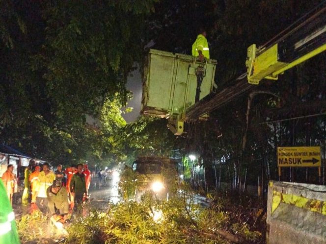 
					Hadapi Cuaca Ekstrem, Tim Satgas Penanganan Pohon Tumbang Jakut Siaga 24 Jam