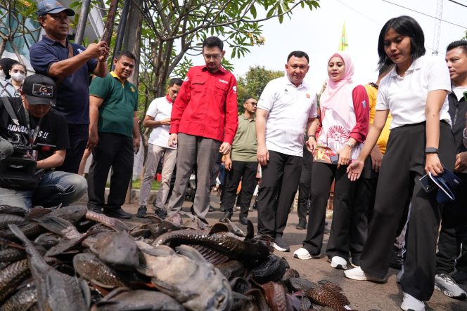 
					Hadiri Operasi Tangkap Ikan Sapu-Sapu, Gubernur Pramono: Pulihkan Ekosistem Perairan Jakarta