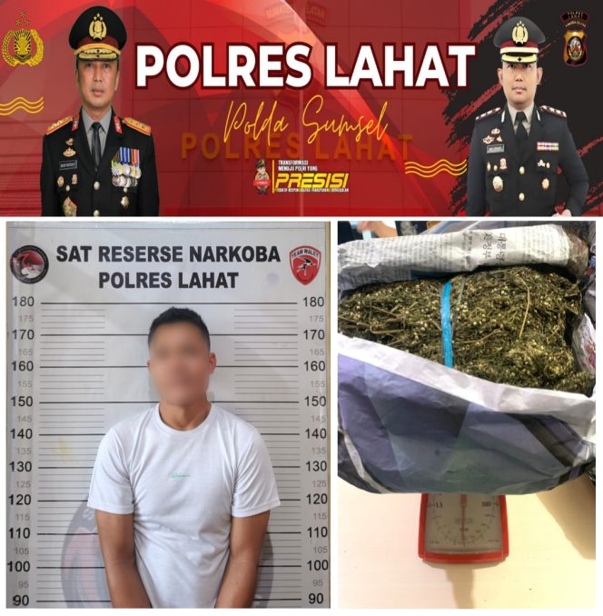 
					1.020 Gram Daun Ganja dan 1(satu) Tersangka Diamankan Satresnarkoba Polres Lahat